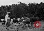 Standbild Willis Van Devanter Ellicott City Maryland USA, 1937, aus Sekunde 30 historischem Filmmaterial Videoclip 65675073023