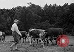 Standbild Willis Van Devanter Ellicott City Maryland USA, 1937, aus Sekunde 31 historischem Filmmaterial Videoclip 65675073023