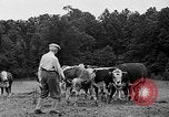 Standbild Willis Van Devanter Ellicott City Maryland USA, 1937, aus Sekunde 32 historischem Filmmaterial Videoclip 65675073023