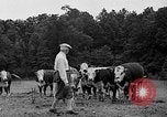 Standbild Willis Van Devanter Ellicott City Maryland USA, 1937, aus Sekunde 33 historischem Filmmaterial Videoclip 65675073023