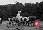 Standbild Willis Van Devanter Ellicott City Maryland USA, 1937, aus Sekunde 34 historischem Filmmaterial Videoclip 65675073023