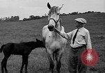 Standbild Willis Van Devanter Ellicott City Maryland USA, 1937, aus Sekunde 37 historischem Filmmaterial Videoclip 65675073023
