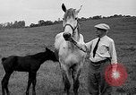 Standbild Willis Van Devanter Ellicott City Maryland USA, 1937, aus Sekunde 38 historischem Filmmaterial Videoclip 65675073023