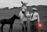 Standbild Willis Van Devanter Ellicott City Maryland USA, 1937, aus Sekunde 39 historischem Filmmaterial Videoclip 65675073023
