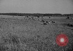 Image of 3rd Army Division troops Fort Lewis Washington USA, 1937, second 57 stock footage video 65675073028
