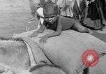 Image des troubles civils Punjab en Inde, 1947, de la seconde 58 séquences d'archives historiques vidéo 65675073033