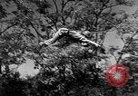 Image Bernard L Montgomery France, 1947, de la seconde 59 séquences d'archives historiques vidéo 65675073034