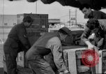 Immagine di Dover Air Force Base Delaware United States USA, 1958, secondo 27 filmato di repertorio 65675073041