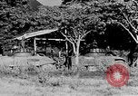 Immagine di Souvanna Phouma Thakhet Laos, 1964, secondo 58 filmato di repertorio 65675073076