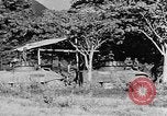 Immagine di Souvanna Phouma Thakhet Laos, 1964, secondo 62 filmato di repertorio 65675073076