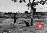Image Viet Minh prisonnier Thakhet Laos, 1964, de la seconde 3 séquences d'archives historiques vidéo 65675073077