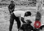 Image Viet Minh prisonnier Thakhet Laos, 1964, de la seconde 31 séquences d'archives historiques vidéo 65675073077