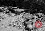 Image of Viet Minh prisoners French Indo China, 1949, second 61 stock footage video 65675073084
