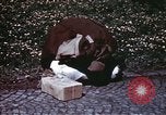 Standbild deutsche Soldaten Deutschland, 1945, aus Sekunde 53 historischem Filmmaterial Videoclip 65675073092