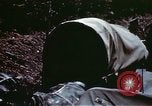 Image soldats prisonniers allemands Allemagne, 1945, de la seconde 26 séquences d'archives historiques vidéo 65675073093