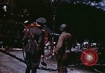 Image des soldats allemands Tannenbergsthal Allemagne, 1945, de la seconde 40 séquences d'archives historiques vidéo 65675073094