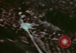 Image of P-47 Gun camera film Germany, 1945, second 46 stock footage video 65675073097