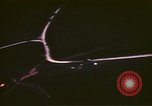 Image of Allied attack Germany, 1945, second 59 stock footage video 65675073099