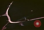 Image of Allied attack Germany, 1945, second 61 stock footage video 65675073099