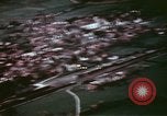 Image of Allied attack Germany, 1945, second 42 stock footage video 65675073101