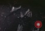 Image of Allied attack Germany, 1945, second 43 stock footage video 65675073102
