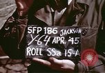 Image of Allied attack Germany, 1945, second 5 stock footage video 65675073103