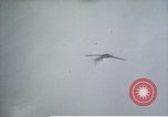 Image of Allied attack Germany, 1945, second 21 stock footage video 65675073103