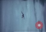 Image of Allied attack Germany, 1945, second 47 stock footage video 65675073107