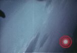 Image of Allied attack Germany, 1945, second 50 stock footage video 65675073107