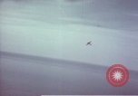 Image of Allied attack Germany, 1945, second 42 stock footage video 65675073108