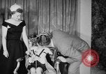 Immagine di Junior Miss America contest New York United States USA, 1954, secondo 37 filmato di repertorio 65675073123