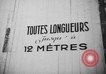 Immagine di Dog show Parigi Francia, 1954, secondo 16 filmato di repertorio 65675073125