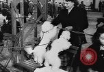 Immagine di Dog show Parigi Francia, 1954, secondo 19 filmato di repertorio 65675073125