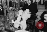 Immagine di Dog show Parigi Francia, 1954, secondo 20 filmato di repertorio 65675073125