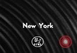Image Peluche privé New York United States USA, 1957, de la seconde 3 séquences d'archives historiques vidéo 65675073132