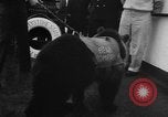Image Peluche privé New York United States USA, 1957, de la seconde 7 séquences d'archives historiques vidéo 65675073132