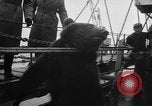 Image Peluche privé New York United States USA, 1957, de la seconde 19 séquences d'archives historiques vidéo 65675073132