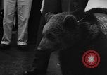 Image Peluche privé New York United States USA, 1957, de la seconde 34 séquences d'archives historiques vidéo 65675073132
