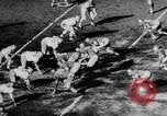 Image 49ers versus Lions San Francisco California USA, 1957, de la seconde 23 séquences d'archives historiques vidéo 65675073135