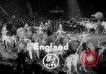 Immagine di Circus Show in Inghilterra Regno Unito, 1949, secondo 3 filmato di repertorio 65675073139