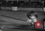 Immagine di Circus Show in Inghilterra Regno Unito, 1949, secondo 37 filmato di repertorio 65675073139