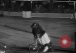 Immagine di Circus Show in Inghilterra Regno Unito, 1949, secondo 38 filmato di repertorio 65675073139