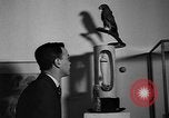 Standbild Malerei Ausstellung New York United States USA, 1936, aus Sekunde 48 historischem Filmmaterial Videoclip 65675073144