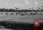 Image of Miami Biltmore Open Golf Tournament Miami Florida USA, 1936, second 37 stock footage video 65675073148