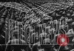 Immagine di La liberazione di Praga Praga Cecoslovacchia, 1945, secondo 14 filmato di repertorio 65675073172