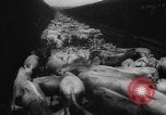 Immagine di La spedizione dei capi di bestiame United States USA, 1945, secondo 7 filmato di repertorio 65675073173