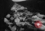 Immagine di La spedizione dei capi di bestiame United States USA, 1945, secondo 11 filmato di repertorio 65675073173