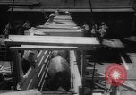 Immagine di La spedizione dei capi di bestiame United States USA, 1945, secondo 35 filmato di repertorio 65675073173