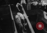 Immagine di La spedizione dei capi di bestiame United States USA, 1945, secondo 41 filmato di repertorio 65675073173
