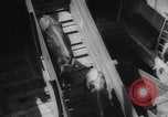 Immagine di La spedizione dei capi di bestiame United States USA, 1945, secondo 45 filmato di repertorio 65675073173